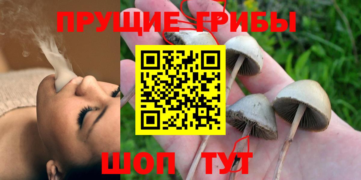 Феодосия  продажа наркотиков  Псилоцибиновые грибы прущие грибы  Вход с VPN  Галлюциногенные грибы GOLDEN TEACHER 